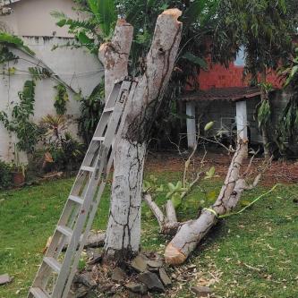 Servicios Luttrell en Tocumen - Imagen 1