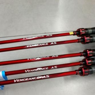Shimano Spinning/Casting Rod VANGEANCE AS in Kajang - Image 1
