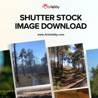 Shutter Stock Image Download by Fotolobby in Gurgaon - Image 1