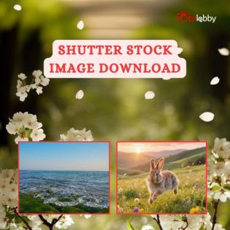 Shutter Stock Image Download in Gurgaon - Image 1