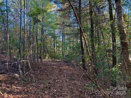 Snipes St Unit,morganton, Plot For Sale in Gastonia - Image 1