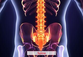 Spine Surgery In India in Pitampura - Image 1