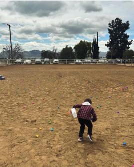 Spring Fair at Providence Heart Ranch in Menifee - Image 1