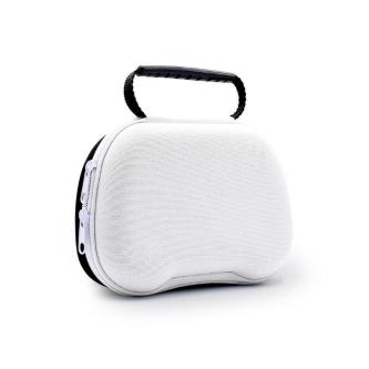 Storage Bag with Handle for PS5 Controller in Singapore - Image 1