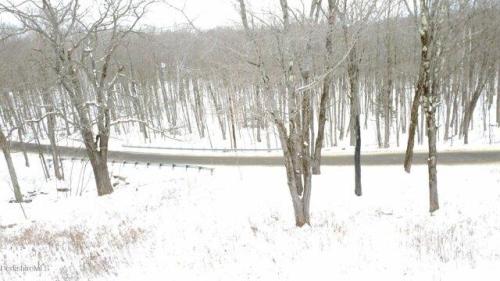 Strykers Rd, Florida, Plot For Sale in Troy - Image 1