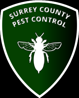 Surrey County Pest Control in Guildford - Image 1
