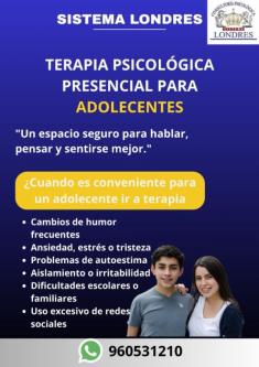 TERAPIA PSICOLOGICA PRESENCIAL PARA ADOLESCENTES en Matucana - Imagen 1