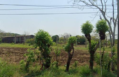 TERRENO EN RANCHOAPAN en Boca del Río - Imagen 1