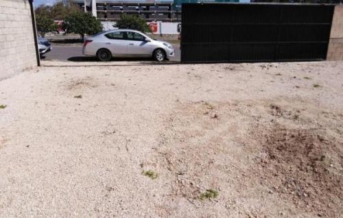 TERRENO EN RENTA SOBRE AVENIDA en Mérida - Imagen 1