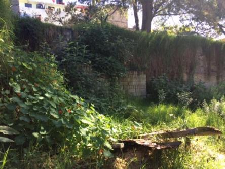 TERRENO EN RENTA en Interlomas - Imagen 4