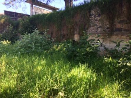 TERRENO EN RENTA en Interlomas - Imagen 6