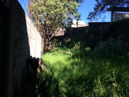 TERRENO EN RENTA en Interlomas - Imagen 8