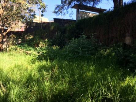 TERRENO EN RENTA en Interlomas - Imagen 12