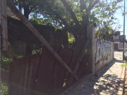 TERRENO EN RENTA en Interlomas - Imagen 14