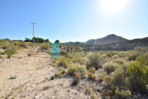TERRENO RUSTICO CON CASITA SIN TERMINAR Y PLANTACIÓN DE OLIVOS en Mazarrón - Imagen 1