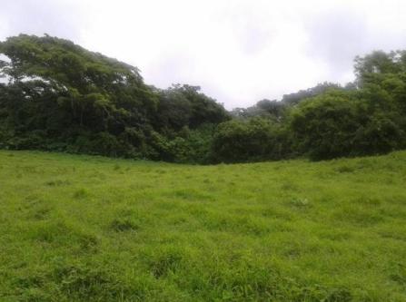 TERRENO RUSTICO EN VENTA en San Andrés Tuxtla - Imagen 1