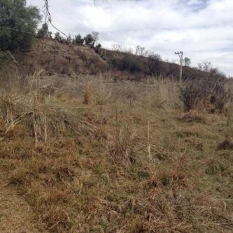 TERRENO RUSTICO VENTA SAN BORTOLO MORELOS en Atlacomulco - Imagen 1