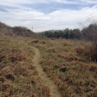 TERRENO RUSTICO VENTA SAN BORTOLO MORELOS en Atlacomulco - Imagen 2