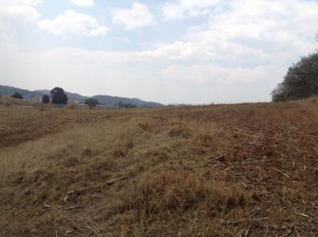 TERRENO RUSTICO VENTA SAN BORTOLO MORELOS en Atlacomulco - Imagen 6