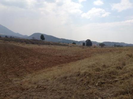 TERRENO RUSTICO VENTA SAN BORTOLO MORELOS en Atlacomulco - Imagen 8