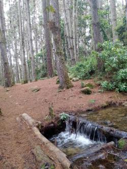 TERRENOSyCASAS.ELVALLE. en Caracas - Imagen 2