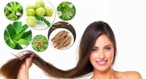 THE RITUAL OF HAIR REGROWTH in IndiraNagar - Image 2