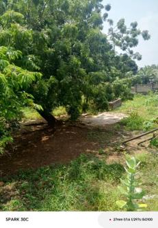 *TITLED 3.9ACRES PLOTS AIRPORT ACCRA* in Taifa - Image 2