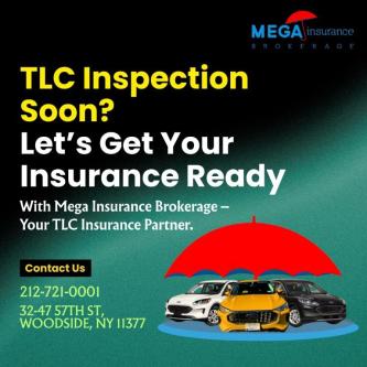 TLC Inspection Soon Let’s Get Your Insurance Ready in Redwood City - Image 1