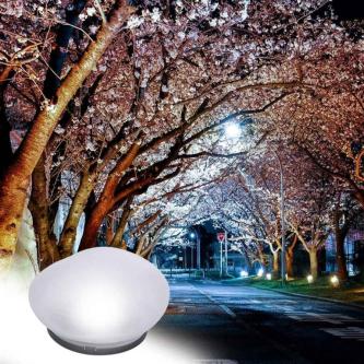 TOBIE LED Solar Light, Auto on/Off Waterproof Solar Stone … in Singapore - Image 1