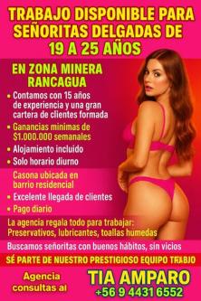 TRABAJO PARA ESCORT AGENCIA VIP RANCAGUA en Concepción - Imagen 1