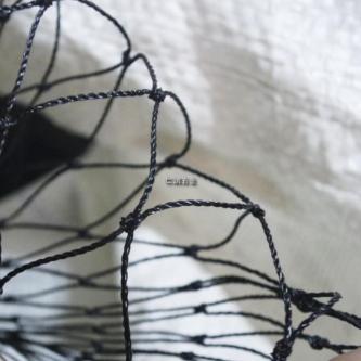 Tax Included 正 Made In Taiwan 666cm Wide Bird-Proof Net … in Singapore - Image 1