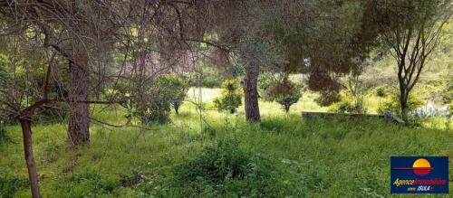 Terrain constructible à Ajaccio - Photo 1