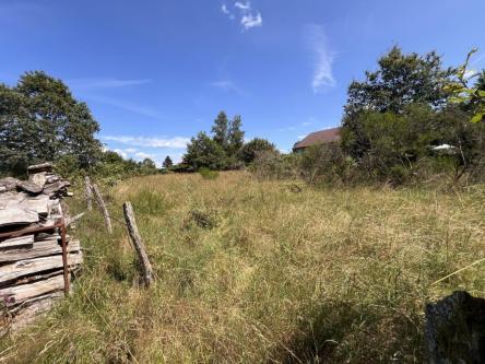 Terrain constructible à Épinal - Photo 1