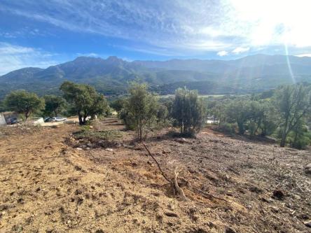 Terrain- libre constructeur- à Ajaccio - Photo 1