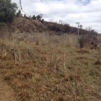 Terreno Rustico en Renta 9.000 m2 RINCON VERDE en Naucalpan - Imagen 2