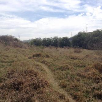 Terreno Rustico en Renta 9.000 m2 RINCON VERDE en Naucalpan - Imagen 4