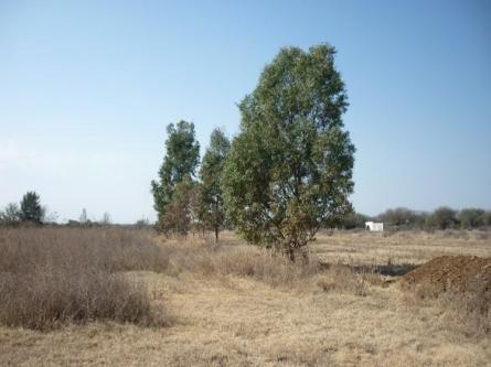 Terreno en Renta en Jesús María - Imagen 1