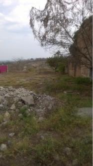 Terreno en Renta en Chiapa de Corzo - Imagen 4