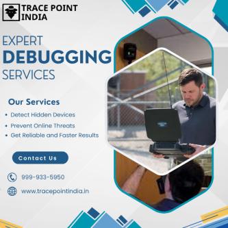 Think You’re Safe Get Expert Debugging Services Today in Green Park Extension - Image 1