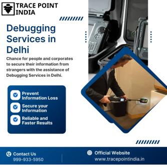 Think You’re Safe Get Expert Debugging Services Today in Green Park Extension - Image 2