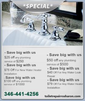 Toilet Repair Rosharon TX in Sugar Land - Image 2