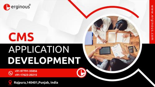 Top CMS Application Development In India | Erginous Technologies in Ambāla - Image 1