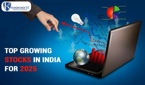 Top Growing Stocks In India For 2025 in New Delhi - Image 1