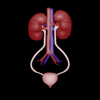 Top Multispeciality Hospital In kushaiguda in Kota - Image 1