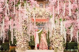 Top Rose Flower Decorators for Receptions in Zerakpur - Image 1
