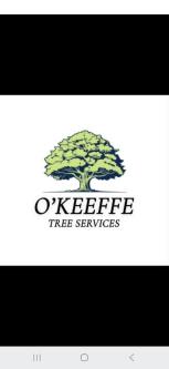Tree Surgery Co. CORK in Cork - Image 1