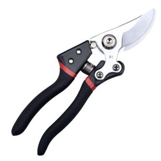 Tree branch pruning shears, fruit tree pruning shears, … in Singapore - Image 1