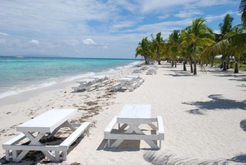 Tropical Getaway in Scarborough - Image 2