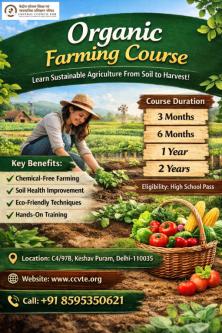 Understanding Organic Farming Principles, Practices & Profits in Paharganj - Image 1