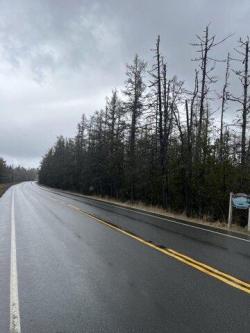 Us Route,danforth, Plot For Sale in Bangor - Image 1